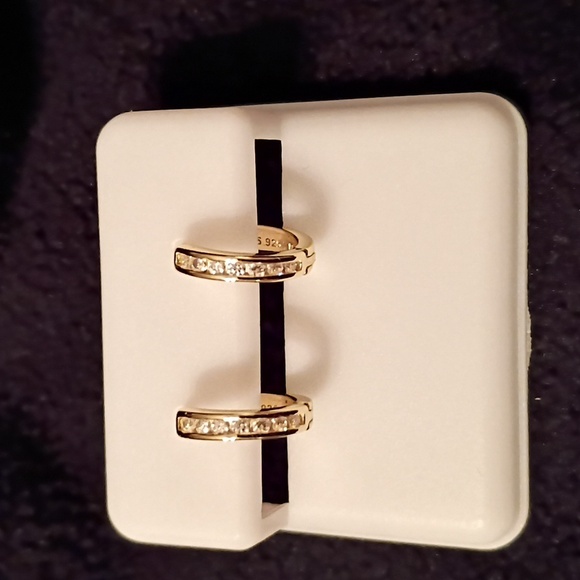 Moissanite Sterling Silver Hoop Earrings With 14k Gold Overlay